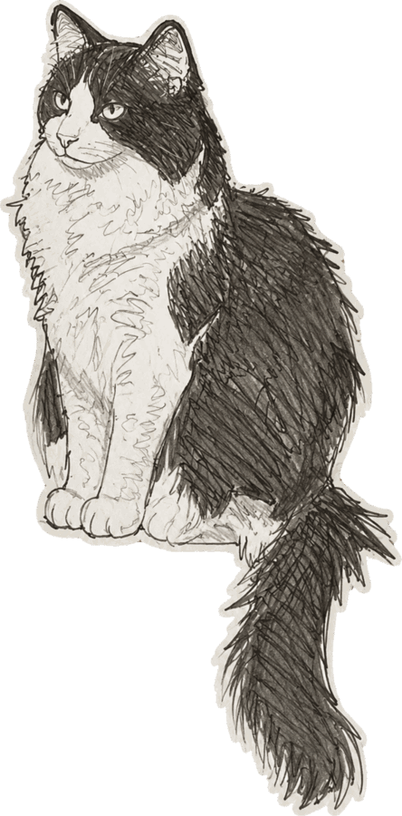 Mary&rsquo;s charcoal drawing of Ruby Chanel, a seated long-haired cat with her tail curled around her.